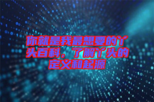 你就是我最想要的丫頭百科，了解丫頭的定義和起源