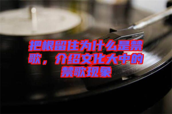 把根留住為什么是禁歌，介紹文化大中的禁歌現(xiàn)象
