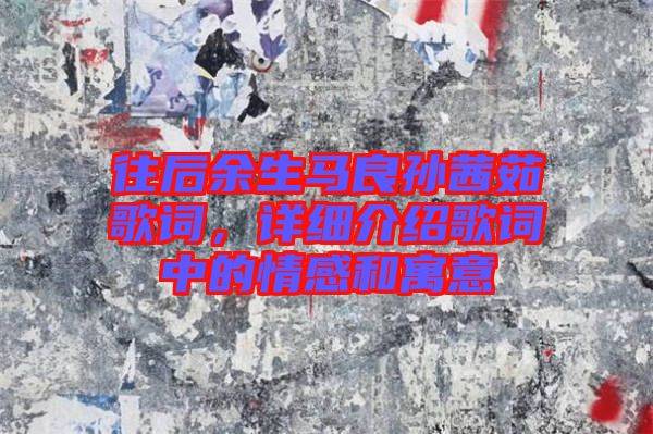 往后余生馬良孫茜茹歌詞，詳細(xì)介紹歌詞中的情感和寓意
