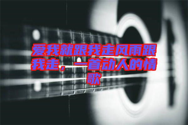 愛我就跟我走風雨跟我走，一首動人的情歌