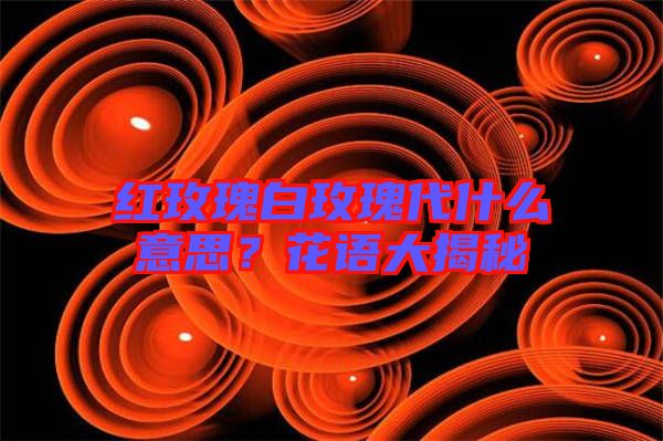 紅玫瑰白玫瑰代什么意思？花語大揭秘
