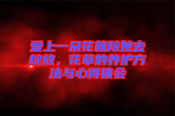 愛上一朵花就陪她去綻放，花草的養(yǎng)護(hù)方法與心得體會(huì)