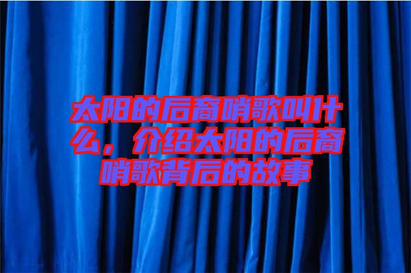 太陽的后裔哨歌叫什么，介紹太陽的后裔哨歌背后的故事