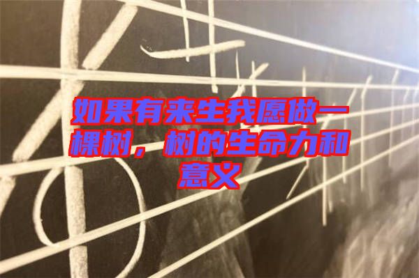 如果有來(lái)生我愿做一棵樹(shù)，樹(shù)的生命力和意義