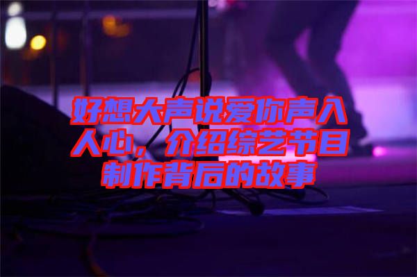 好想大聲說(shuō)愛(ài)你聲入人心，介紹綜藝節(jié)目制作背后的故事