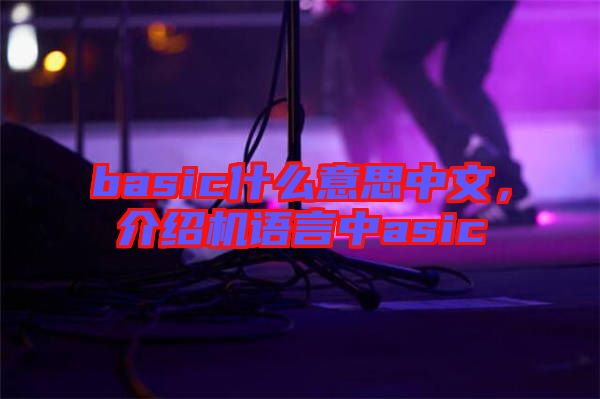basic什么意思中文，介紹機(jī)語(yǔ)言中asic