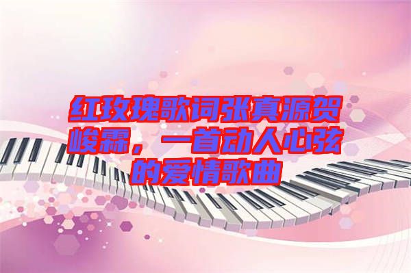 紅玫瑰歌詞張真源賀峻霖，一首動(dòng)人心弦的愛情歌曲