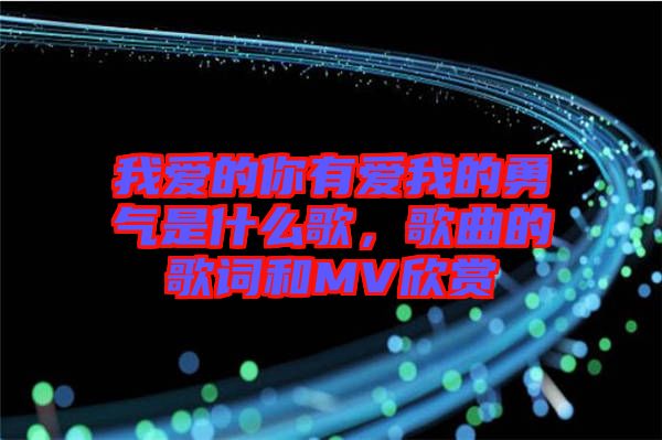 我愛的你有愛我的勇氣是什么歌，歌曲的歌詞和MV欣賞