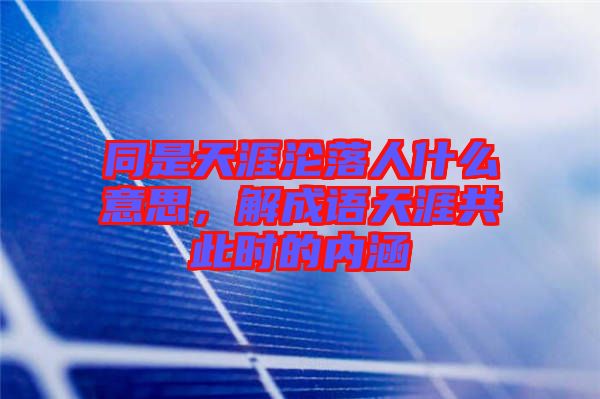 同是天涯淪落人什么意思，解成語天涯共此時的內涵