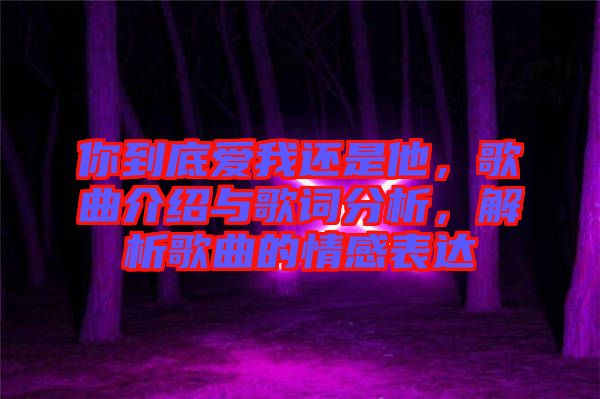 你到底愛(ài)我還是他，歌曲介紹與歌詞分析，解析歌曲的情感表達(dá)