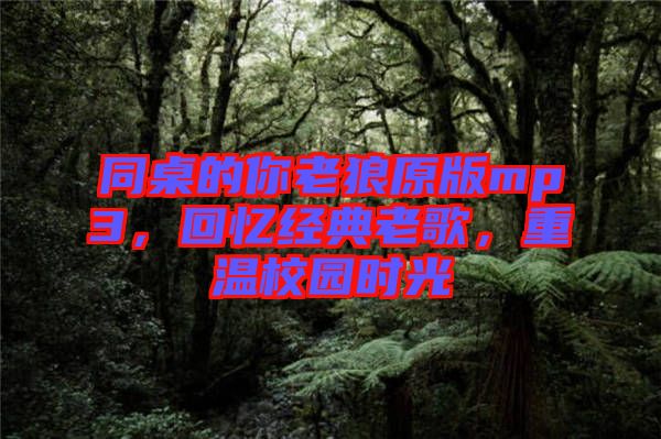 同桌的你老狼原版mp3，回憶經(jīng)典老歌，重溫校園時光