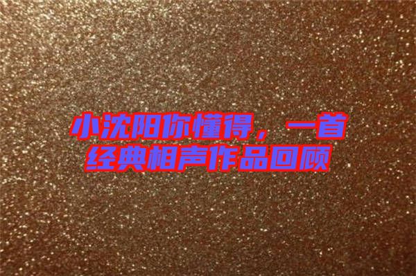 小沈陽你懂得，一首經(jīng)典相聲作品回顧
