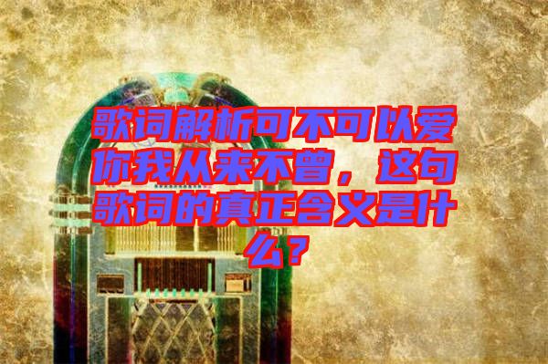 歌詞解析可不可以愛你我從來(lái)不曾，這句歌詞的真正含義是什么？