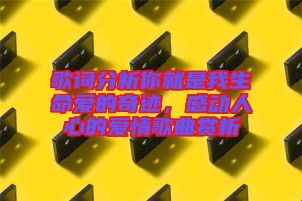 歌詞分析你就是我生命愛的奇跡，感動(dòng)人心的愛情歌曲賞析