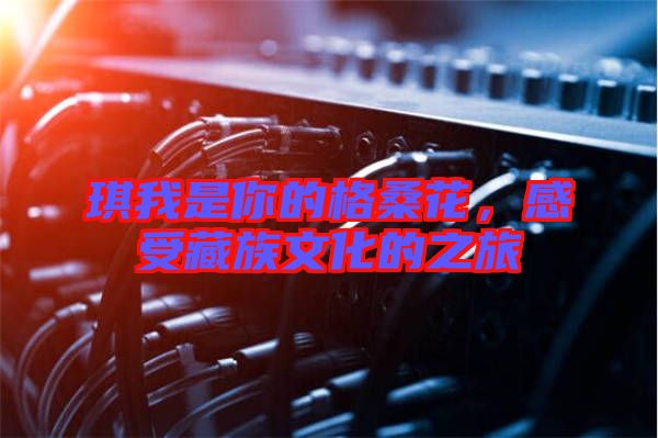 琪我是你的格桑花，感受藏族文化的之旅