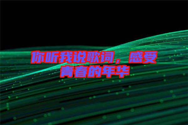 你聽(tīng)我說(shuō)歌詞，感受青春的年華