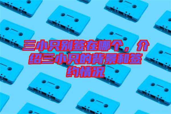 三小只別簽在哪個(gè)，介紹三小只的背景和簽約情況