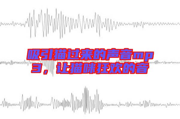 吸引貓過來的聲音mp3，讓貓咪狂歡的音