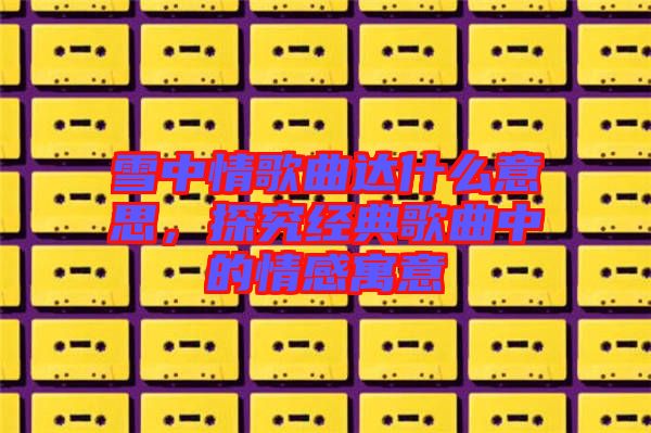 雪中情歌曲達什么意思，探究經(jīng)典歌曲中的情感寓意