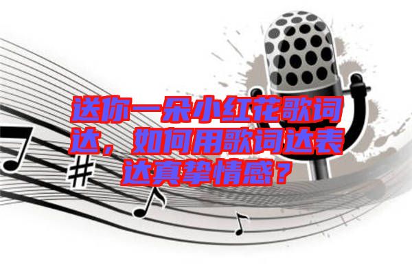 送你一朵小紅花歌詞達，如何用歌詞達表達真摯情感？