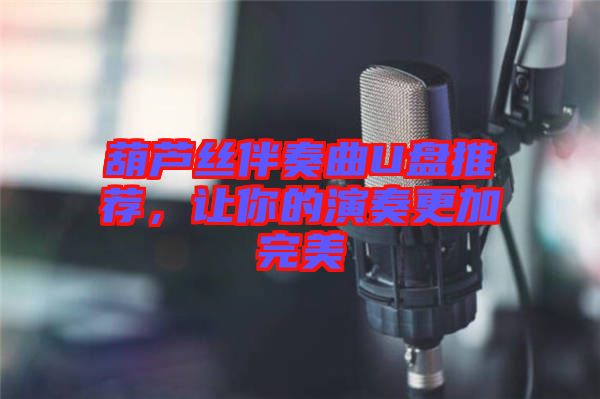 葫蘆絲伴奏曲U盤推薦，讓你的演奏更加完美