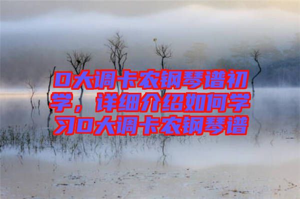 D大調(diào)卡農(nóng)鋼琴譜初學，詳細介紹如何學習D大調(diào)卡農(nóng)鋼琴譜