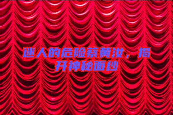 迷人的危險(xiǎn)蔡黃汝，揭開(kāi)神秘面紗