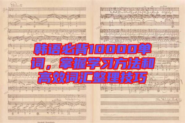 韓語(yǔ)必背10000單詞，掌握學(xué)習(xí)方法和高效詞匯整理技巧