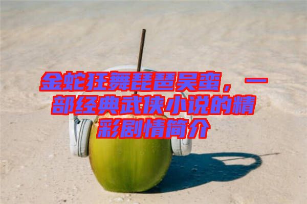 金蛇狂舞琵琶吳蠻，一部經典武俠小說的精彩劇情簡介