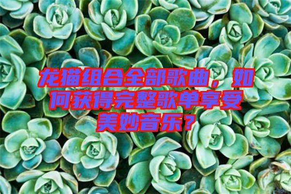 龍貓組合全部歌曲，如何獲得完整歌單享受美妙音樂？