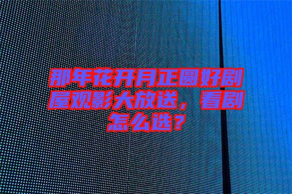 那年花開月正圓好劇屋觀影大放送，看劇怎么選？
