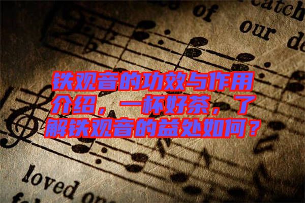 鐵觀音的功效與作用介紹，一杯好茶，了解鐵觀音的益處如何？