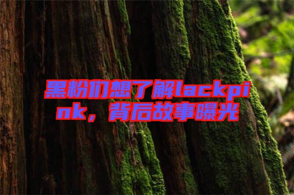 黑粉們想了解lackpink，背后故事曝光