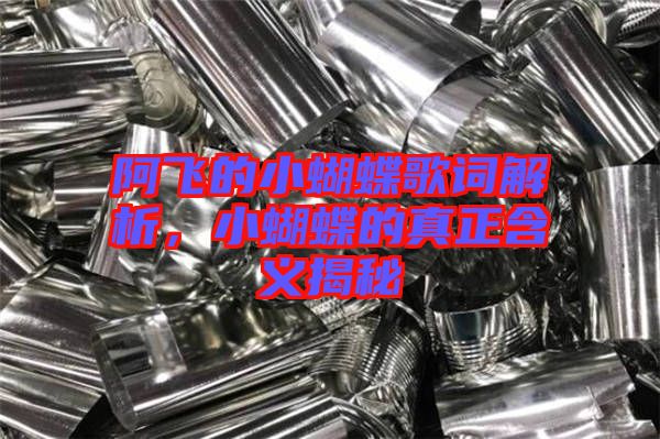 阿飛的小蝴蝶歌詞解析，小蝴蝶的真正含義揭秘