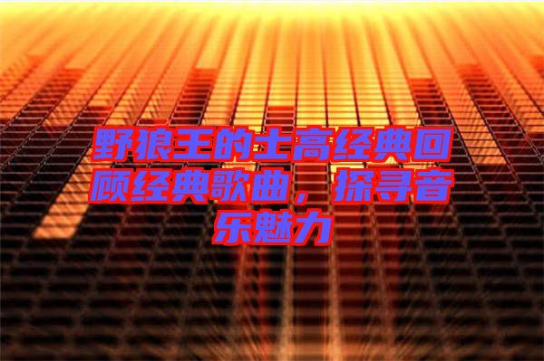 野狼王的士高經(jīng)典回顧經(jīng)典歌曲，探尋音樂(lè)魅力
