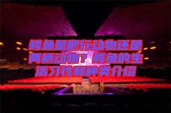 鱷魚是爬行動(dòng)物還是兩棲動(dòng)物？鱷魚的生活習(xí)性和種類介紹