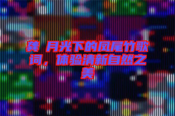 龔玥月光下的鳳尾竹歌詞，體驗清新自然之美