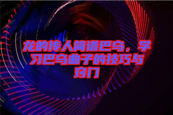 龍的傳人簡(jiǎn)譜巴烏，學(xué)習(xí)巴烏曲子的技巧與竅門(mén)