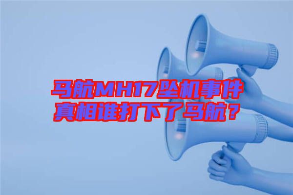 馬航MH17墜機事件真相誰打下了馬航？