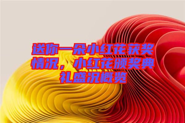 送你一朵小紅花獲獎情況，小紅花頒獎典禮盛況概覽