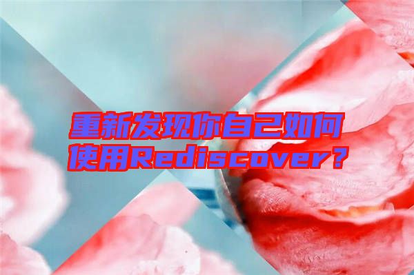 重新發(fā)現(xiàn)你自己如何使用Rediscover？