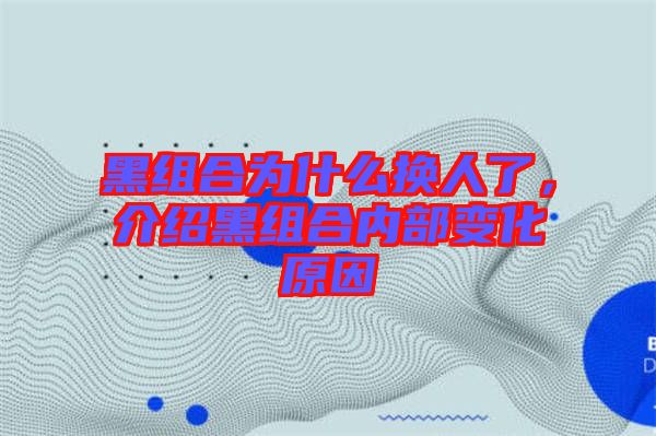 黑組合為什么換人了，介紹黑組合內(nèi)部變化原因