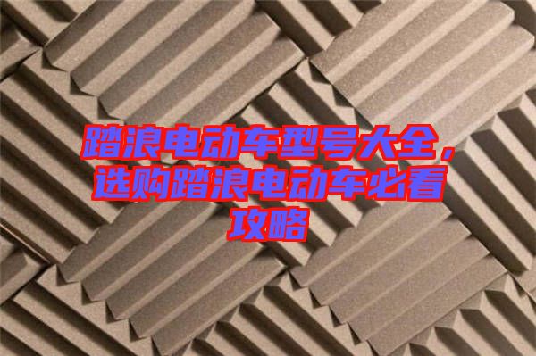 踏浪電動(dòng)車型號(hào)大全，選購踏浪電動(dòng)車必看攻略