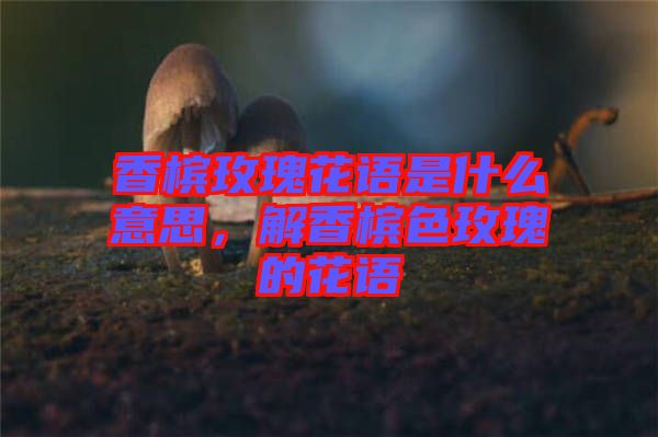 香檳玫瑰花語是什么意思，解香檳色玫瑰的花語
