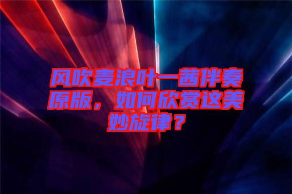 風(fēng)吹麥浪葉一茜伴奏原版，如何欣賞這美妙旋律？