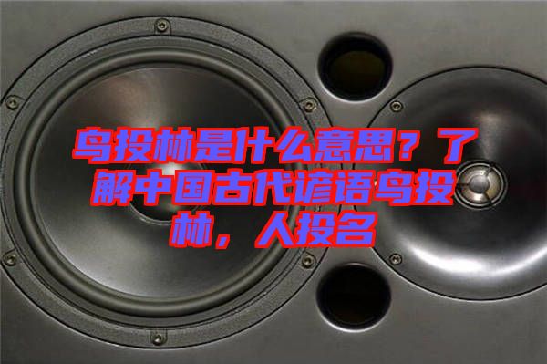 鳥投林是什么意思？了解中國古代諺語鳥投林，人投名