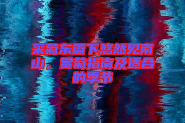 采菊東籬下悠然見(jiàn)南山，賞菊指南及適合的季節(jié)