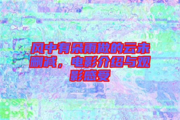 風中有朵雨做的云未刪減，電影介紹與觀影感受