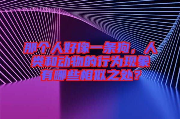 那個人好像一條狗，人類和動物的行為現(xiàn)象有哪些相似之處？