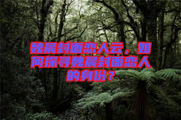 魏晨封面戀人云，如何探尋魏晨封面戀人的身份？